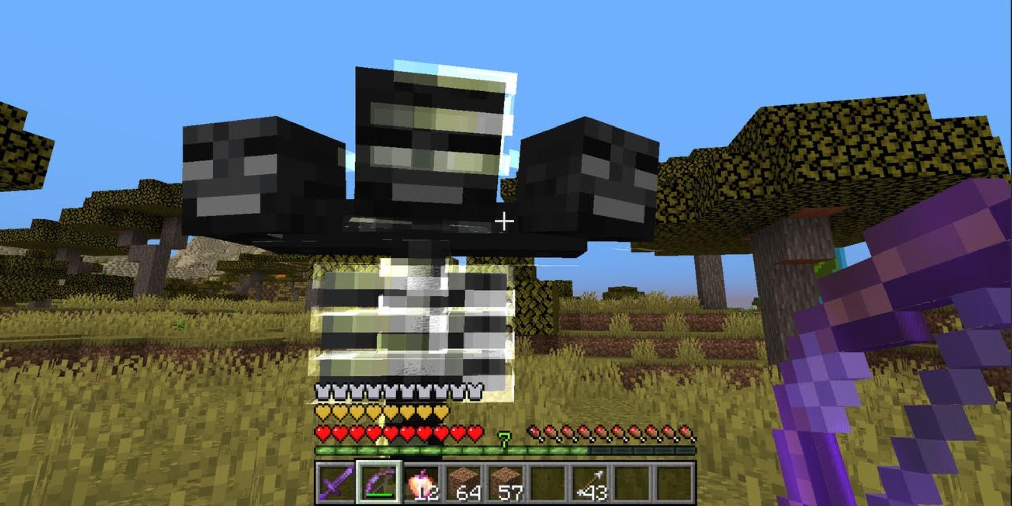 wither minecraft (1)