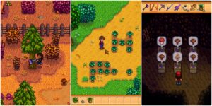 Stardew Valley: 13 Tips To Make The Most Of Foraging