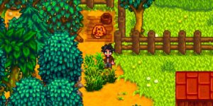 Stardew Valley: How To Rename Your Pet