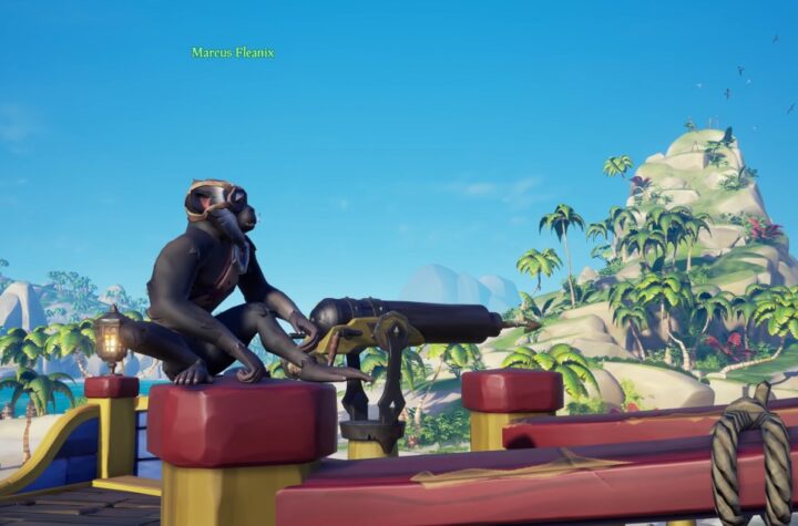 How to get pets in Sea of Thieves | Digital Trends
