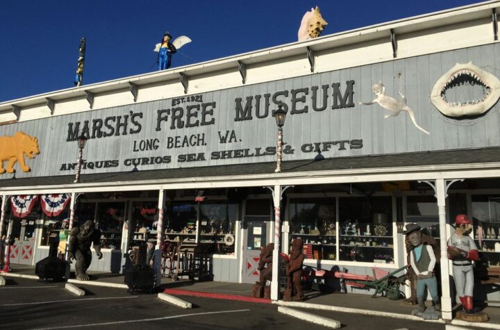 Unveiling Long Beach’s Quirky Charm: Exploring Marsh’s Free Museum