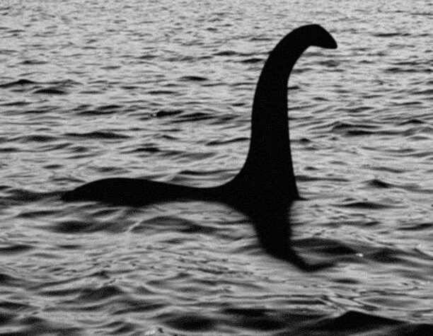 First Official NESSIE Sighting Of 2024 Reported! -