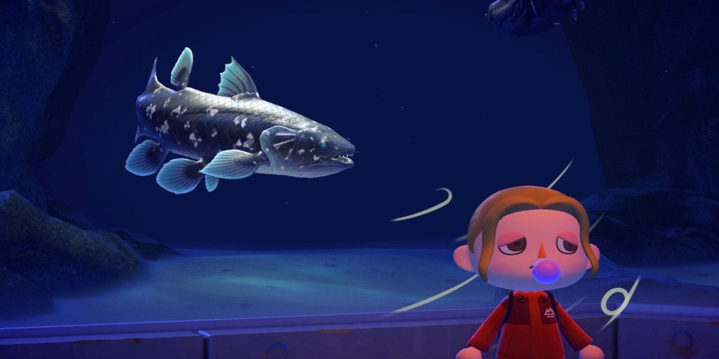 animal crossing new horizons coelacanth donated in museum