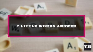 Ayyubid dynasty founder 7 Little Words Answer - Try Hard Guides