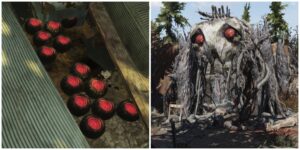 Fallout 76: Mothman Egg Locations
